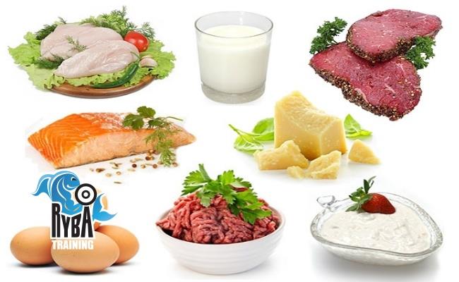 Proteíny a spaľovanie tukov...